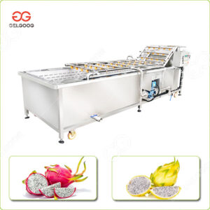 dragon fruit cleaning machine