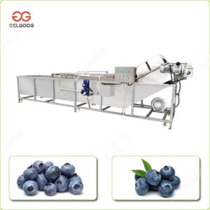 blueberry washing line