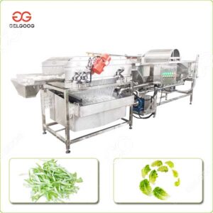 cabbage washing machine price