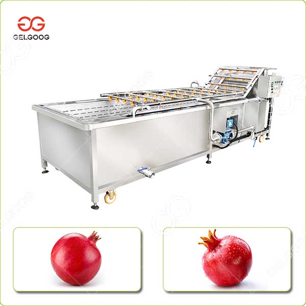 industrial pomegranate washing machine