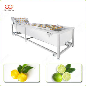 lemon fruit washing machine