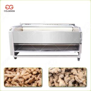 ginger washing and peeling machine price