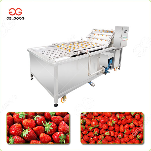berry processing equipment manufacture berry processing equipment manufacture