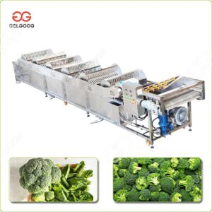broccoli cleaning machine price