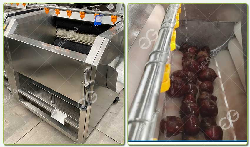 beet washing machine