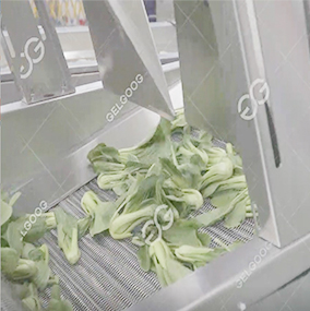 vegetable processing line