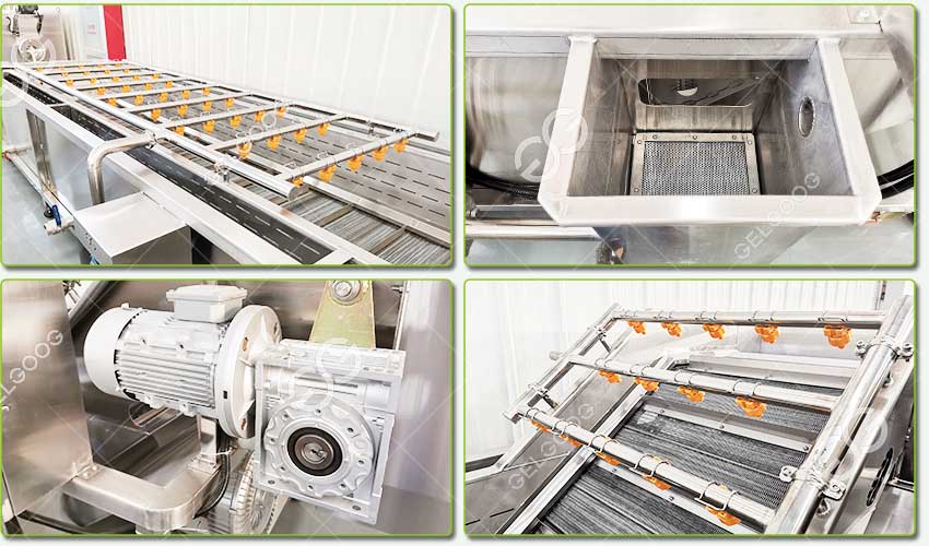 tomato washing machine for sale