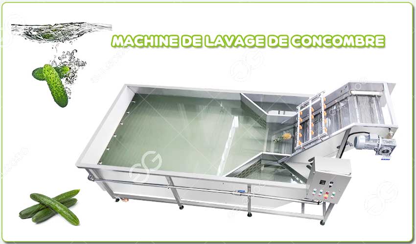  cucumber washing machine price