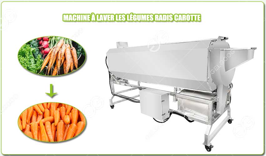 carrot washing machine price