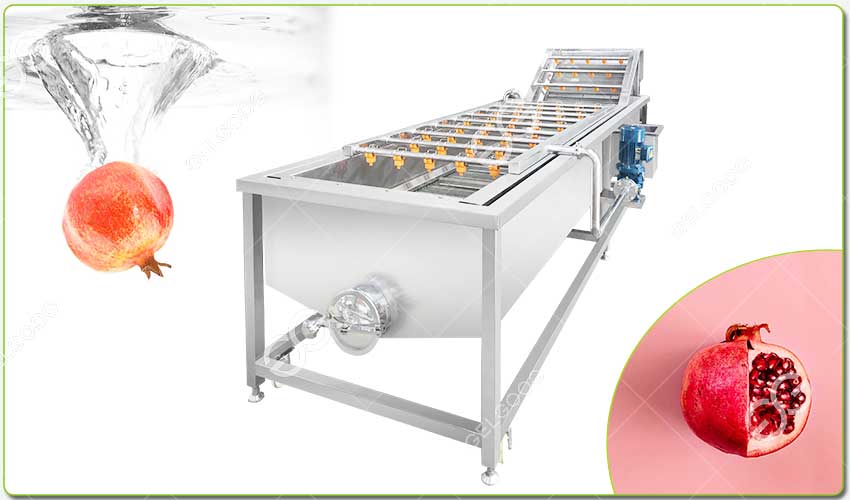 industrial pomegranate washing machine