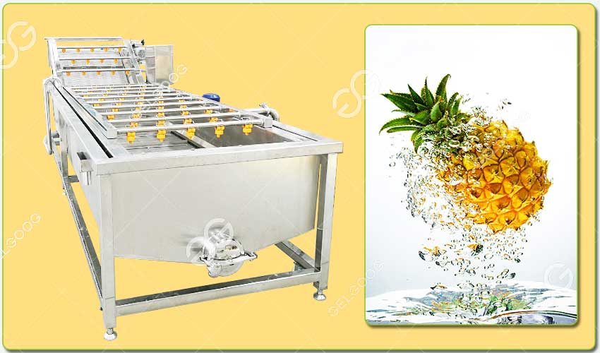 pineapple cleaning machine