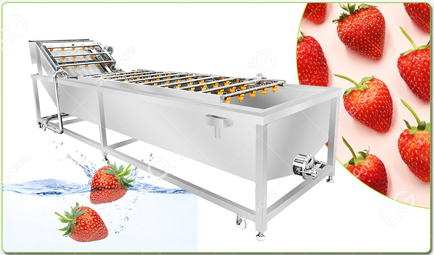 berry processing equipment manufacture