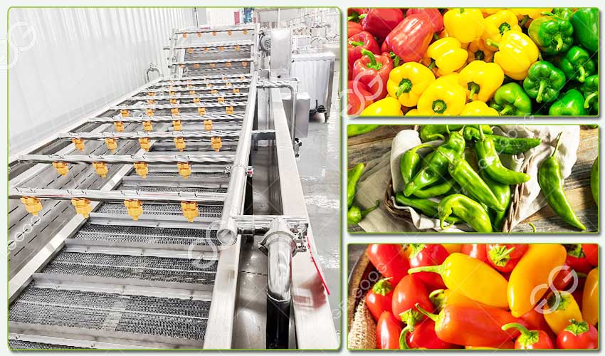 red chilli cleaning machine