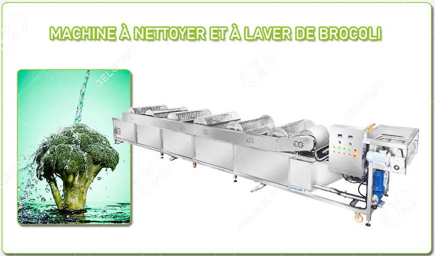 Broccoli Washing Machine