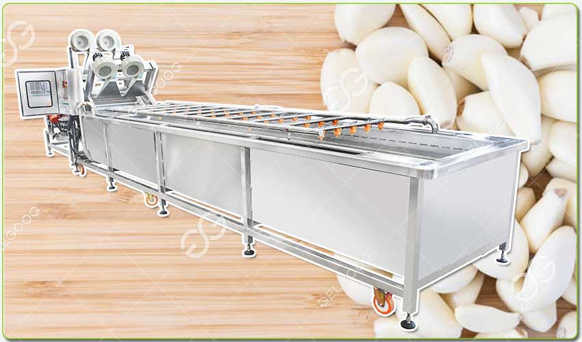 garlic cleaning machine