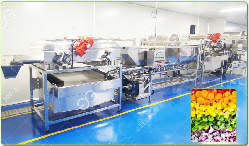 cabbage washing machine price
