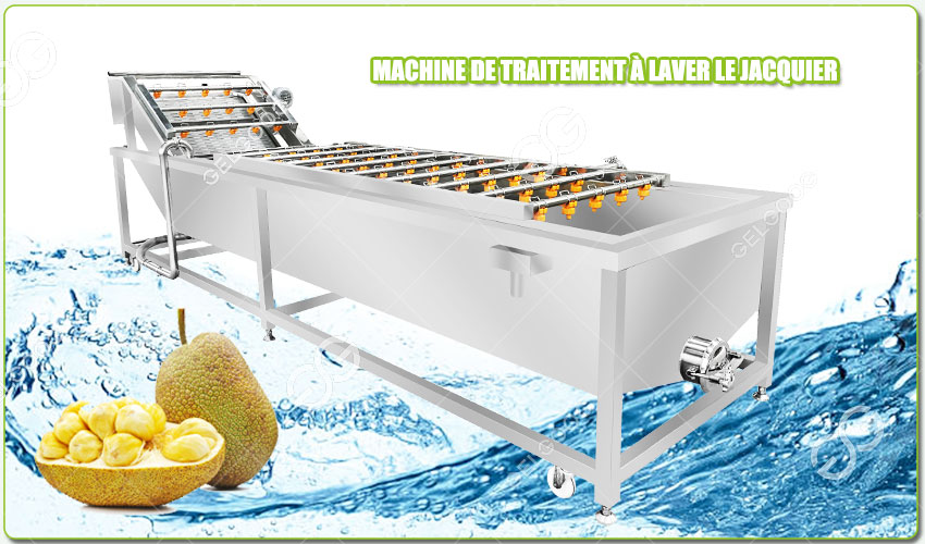 jackfruit washing machine