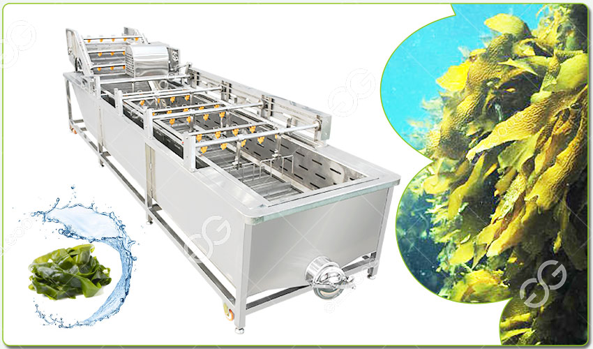 kelp processing plant