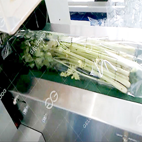 vegetable washing solution