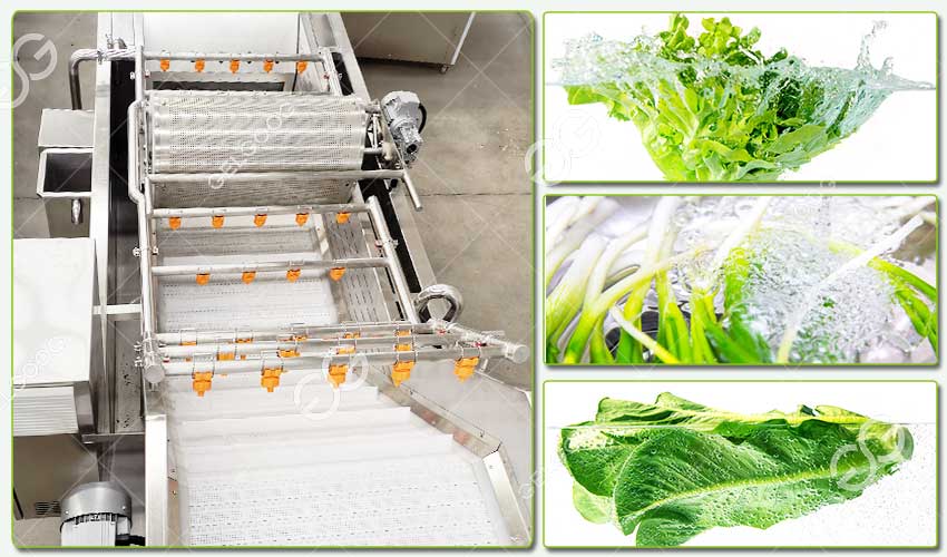 vegetable washing machine manufacturers