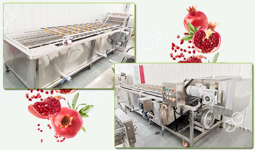 pomegranate cleaning machine price