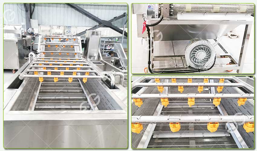  Sweet Corn Washing equipment