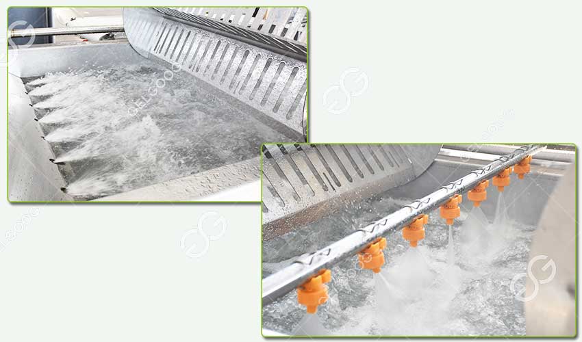 broccoli florets washing machine manufacturer