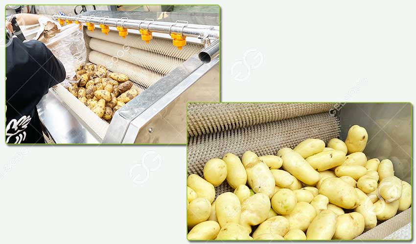 sweet potato washing machine