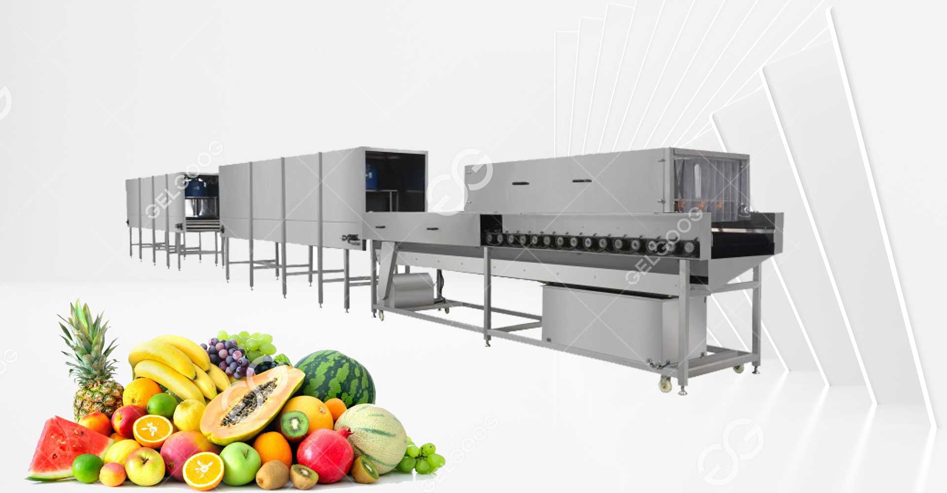 fruit washing and waxing machine