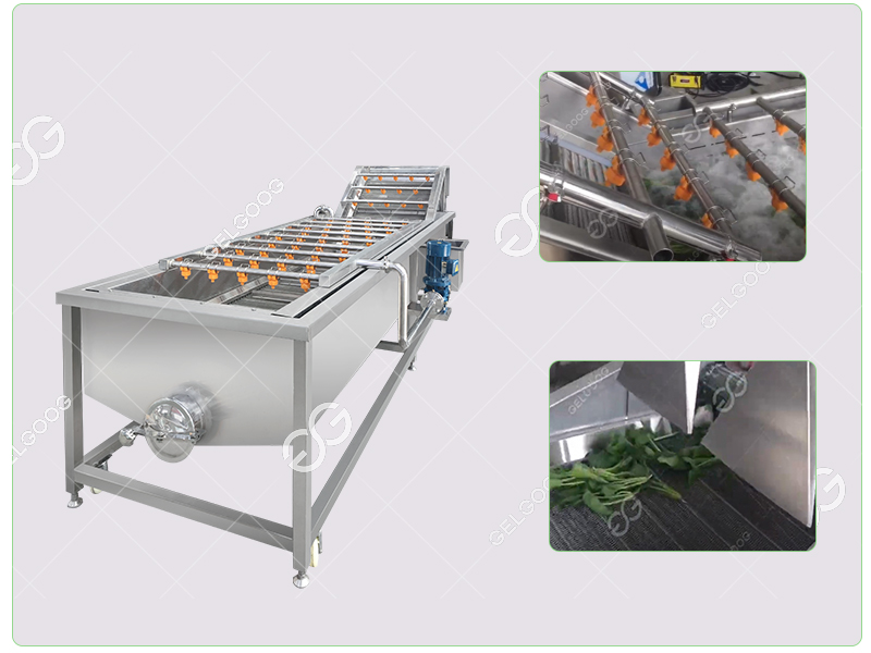water-spinach-washing-machine